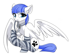 Size: 3416x2624 | Tagged: safe, artist:kxttponies, oc, oc only, oc:snow pup, pegasus, pony, clothes, female, high res, leash, mare, mouth hold, paw prints, simple background, socks, solo, striped socks, transparent background, ych result