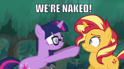 Size: 600x337 | Tagged: safe, edit, edited screencap, screencap, sci-twi, sunset shimmer, twilight sparkle, pony, unicorn, equestria girls, equestria girls specials, g4, my little pony equestria girls: better together, my little pony equestria girls: spring breakdown, animated, boop, caption, equestria girls ponified, eyes closed, female, floppy ears, frown, gif, gif with captions, glasses, image macro, impact font, implied nudity, mare, nose wrinkle, noseboop, open mouth, ponified, raised hoof, screaming, squishy cheeks, text, unicorn sci-twi, we don't normally wear clothes, wide eyes