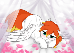 Size: 1381x978 | Tagged: safe, artist:roseriver, oc, oc only, oc:dookin foof lord, pegasus, pony, bed, bedroom eyes, blue eyes, blushing, cute, looking at you, male, rose petals, solo, stallion