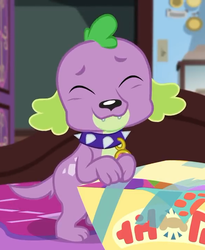 Size: 591x720 | Tagged: safe, screencap, spike, spike the regular dog, dog, equestria girls, g4, my little pony equestria girls: better together, reboxing with spike!, box, cropped, cute, embarrassed grin, eyes closed, male, paws, sci-twi's room, smiling, spikabetes, spike's dog collar