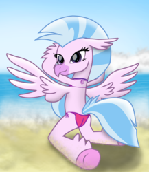 Size: 3034x3499 | Tagged: safe, artist:ejlightning007arts, silverstream, classical hippogriff, hippogriff, g4, anatomically incorrect, beach, bikini, butt, butt focus, clothes, female, high res, incorrect leg anatomy, kneeling, looking back, plot, smiling, solo, swimsuit