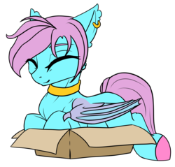 Size: 2413x2310 | Tagged: safe, artist:kxttponies, oc, oc only, oc:fresh snow, bat pony, pony, behaving like a cat, box, female, high res, if i fits i sits, mare, pony in a box, simple background, solo, transparent background