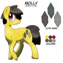 Size: 1024x1023 | Tagged: safe, artist:wolftendragon, oc, oc only, oc:molly, earth pony, pony, reference sheet, solo