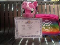 Size: 720x542 | Tagged: safe, artist:ponylover88, cheerilee, earth pony, pony, g4, build-a-bear, irl, photo, plushie, solo