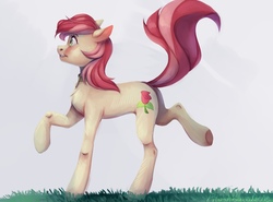 Size: 2560x1896 | Tagged: safe, artist:pilushka, roseluck, earth pony, pony, g4, chest fluff, collar, commission, commissioner:doom9454, cute, digital art, female, graceful, grass, mare, pet tag, pony pet, raised hoof, rosepet, solo, walking