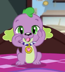 Size: 391x434 | Tagged: safe, screencap, spike, spike the regular dog, dog, equestria girls, g4, my little pony equestria girls: better together, reboxing with spike!, collar, cropped, male, paws, sci-twi's room, smiling, solo, spike's dog collar, tail