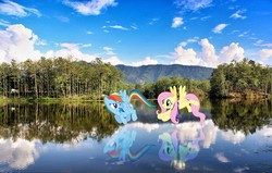 Size: 1200x762 | Tagged: safe, fluttershy, rainbow dash, pony, g4, flying, irl, photo, ponies in real life, sky