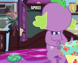Size: 512x412 | Tagged: safe, edit, edited screencap, screencap, sci-twi, spike, spike the regular dog, twilight sparkle, dog, equestria girls, g4, my little pony equestria girls: better together, reboxing with spike!, angry, animated, ashamed, caption, exclamation point, gif, gif with captions, image macro, impact font, implied rarity, implied shipping, implied sparity, implied straight, interrobang, meme, paw prints, question mark, rubbing paws, text
