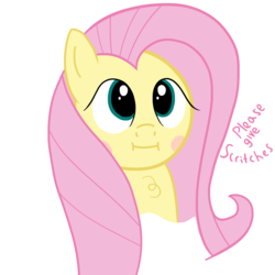 Size: 5000x5000 | Tagged: safe, fluttershy, pony, g4, :i, absurd resolution, blushing, chest fluff, cute, looking at you, scratches, shyabetes