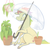 Size: 640x633 | Tagged: safe, artist:bananasmores, trickles, pony, g1, female, plant, rainbow ponies, solo, umbrella