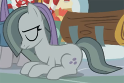 Size: 1000x674 | Tagged: safe, screencap, marble pie, maud pie, earth pony, pony, g4, my little pony best gift ever, female, mare, pie sisters, sad, siblings, sisters, solo focus, sugarcube corner