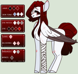 Size: 1390x1316 | Tagged: safe, artist:nocturnal-moonlight, oc, oc only, oc:cynara, pegasus, pony, female, mare, reference sheet, simple background, solo, two toned wings