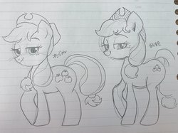 Size: 2047x1535 | Tagged: safe, artist:1drfl_world_end, applejack, earth pony, pony, g4, female, hat, lined paper, looking at you, mare, monochrome, raised hoof, simple background, solo, traditional art