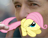 Size: 193x152 | Tagged: artist needed, safe, fluttershy, human, g4, facial hair, irl, irl human, moustache, photo