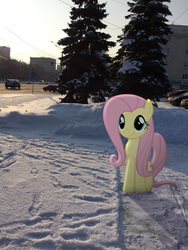 Size: 2448x3264 | Tagged: safe, artist:albertuha, fluttershy, pony, g4, cute, high res, irl, photo, ponies in real life, shyabetes, snow, solo, winter