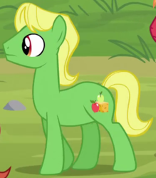 Size: 371x423 | Tagged: safe, screencap, wensley, earth pony, pony, apple family reunion, g4, apple family member, background pony, cropped, male, solo, stallion