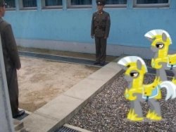 Size: 250x187 | Tagged: safe, human, dmz, hoof shoes, irl, irl human, joint security area, north korea, panmunjom, photo, royal guard, south korea, wat