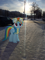 Size: 2448x3264 | Tagged: safe, artist:albertuha, rainbow dash, pony, g4, clothes, high res, irl, photo, ponies in real life, snow, solo, uniform, winter, wonderbolts, wonderbolts uniform