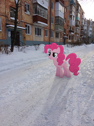 Size: 2448x3264 | Tagged: safe, artist:albertuha, pinkie pie, earth pony, pony, g4, female, high res, irl, mare, outdoors, photo, plattenbau, ponies in real life, russia, snow, solo, standing, winter