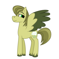 Size: 1472x1472 | Tagged: safe, artist:bolivianite, oc, oc only, pegasus, pony, magical gay spawn, offspring, parent:big macintosh, parent:soarin', parents:soarmac, simple background, solo, unshorn fetlocks, white background
