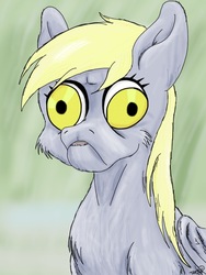 Size: 768x1024 | Tagged: safe, artist:mixdaponies, derpy hooves, pegasus, pony, g4, bust, cheek fluff, chest fluff, cursed image, derp, faic, female, fluffy, frown, mare, parody, ponified animal photo, portrait, shoulder fluff, solo, ugly, wat, wilfred, wilfred warrior, wing fluff