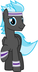 Size: 3212x6000 | Tagged: safe, artist:chainchomp2, thunderclap, pegasus, pony, g4, cute, male, simple background, solo, stallion, sweatband, transparent background, vector