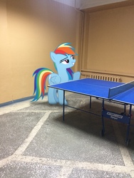 Size: 1620x2160 | Tagged: safe, artist:albertuha, rainbow dash, pegasus, pony, g4, female, frown, irl, mare, photo, ponies in real life, raised hoof, smiling, solo, table tennis, underhoof