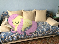 Size: 1400x1050 | Tagged: safe, artist:albertuha, fluttershy, pegasus, pony, g4, couch, cute, female, irl, mare, photo, ponies in real life, shyabetes, sleeping, solo