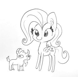 Size: 1233x1221 | Tagged: safe, artist:tjpones, fluttershy, goat, pegasus, pony, g4, black and white, ear fluff, female, grayscale, lineart, mare, monochrome, simple background, traditional art, white background