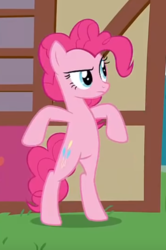 Size: 358x538 | Tagged: safe, screencap, pinkie pie, earth pony, pony, g4, secrets and pies, bipedal, bipedal leaning, cropped, female, leaning, mare, solo