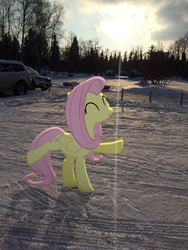Size: 2448x3264 | Tagged: safe, artist:albertuha, fluttershy, pegasus, pony, g4, cute, female, high res, irl, mare, photo, ponies in real life, raised hoof, shyabetes, smiling, snow, solo, winter