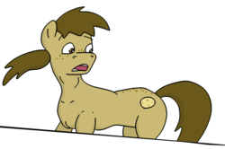 Size: 966x640 | Tagged: safe, oc, oc only, oc:chocolate chips, pony, looking back, male, simple background, solo, white background