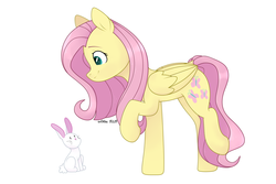 Size: 6000x4000 | Tagged: safe, artist:ev04kaa, fluttershy, pegasus, pony, rabbit, rcf community, g4, duo, female, folded wings, looking at something, looking down, mare, raised hoof, raised leg, sidemouth, simple background, smiling, standing, white background, wings