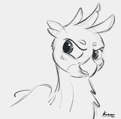 Size: 594x588 | Tagged: safe, artist:kam, gallus, griffon, g4, blushing, bust, grayscale, male, monochrome, quadrupedal, simple background, sketch, solo, white background