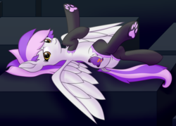 Size: 1834x1312 | Tagged: safe, alternate version, artist:mewio, oc, oc only, oc:mewio, pony, clothes, female, paw pads, paw socks, paws, socks, solo, wings