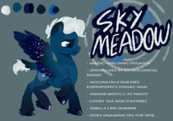 Size: 2400x1680 | Tagged: safe, artist:visionarybuffoon, oc, oc:skymeadow, pegasus, pony, ponysona, redesign, reference sheet
