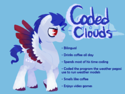 Size: 1600x1200 | Tagged: safe, artist:visionarybuffoon, oc, oc:codedclouds, pegasus, pony, ponysona, reference sheet