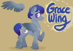 Size: 2400x1680 | Tagged: safe, artist:visionarybuffoon, oc, oc:gracewing, pegasus, pony, ponysona, redesign, reference sheet