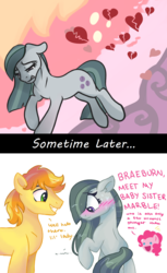 Size: 1023x1668 | Tagged: safe, artist:dreamscapevalley edits, artist:mylittlegodzilla, edit, big macintosh, braeburn, marble pie, pinkie pie, sugar belle, g4, my little pony best gift ever, aftermath, blushing, braeble, cute, episode followup, episode idea, everything went better than expected, female, good end, heart, heartbreak, heartbroken marble, introduction, male, nuzzling, sad, ship sinking, ship:sugarmac, shipper on deck, shipper pie, shipping, shipping denied, shy, side chick, smiling, sometime later..., speculation, straight