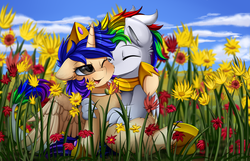 Size: 2600x1675 | Tagged: safe, artist:pridark, oc, oc only, alicorn, pony, alicorn oc, commission, crown, female, field, flower, jewelry, kissing, male, mare, oc x oc, regalia, shipping, smiling, straight