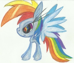 Size: 6829x5808 | Tagged: safe, artist:cybersquirrel, part of a set, rainbow dash, pony, g4, absurd resolution, cutie mark eyes, eyelashes, female, giant head, impossibly long eyelashes, prismacolors, simple background, solo, traditional art, white background, wingding eyes