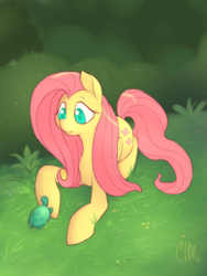 Size: 768x1024 | Tagged: safe, artist:cinderdmutt, fluttershy, pegasus, pony, turtle, g4, colored pupils, cute, female, grass, mare, prone, shyabetes, solo