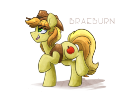 Size: 800x615 | Tagged: safe, artist:azimooth, braeburn, earth pony, pony, g4, colored pupils, eye clipping through hair, male, open mouth, profile, simple background, solo, stallion, white background