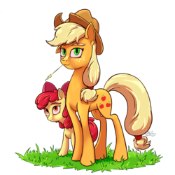 Size: 1900x1900 | Tagged: safe, artist:hc0, apple bloom, applejack, earth pony, pony, g4, apple sisters, applejack's hat, cowboy hat, female, grass, hat, simple background, sisters, stetson, straw in mouth, transparent background