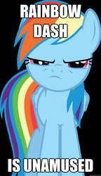 Size: 625x1088 | Tagged: safe, rainbow dash, pony, g4, caption, female, image macro, looking at you, meme, rainbow dash is not amused, solo, text, unamused, vector