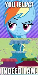 Size: 236x469 | Tagged: safe, edit, edited screencap, screencap, hugh jelly, rainbow dash, g4, hearts and hooves day (episode), caption, comic, food, funny, image macro, jelly, pun, screencap comic, text
