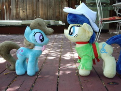 Size: 1600x1200 | Tagged: safe, artist:sniperteam4, beauty brass, fiddlesticks, pony, g4, apple family member, irl, photo, plushie