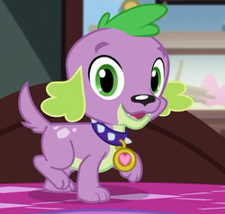 Size: 663x630 | Tagged: safe, screencap, spike, spike the regular dog, dog, equestria girls, equestria girls series, g4, reboxing with spike!, spoiler:eqg series (season 2), collar, cropped, looking at you, male, paws, sci-twi's room, smiling, solo, spike's dog collar, tail