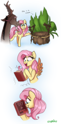 Size: 1378x2798 | Tagged: safe, artist:zlayd-oodles, discord, fluttershy, draconequus, pegasus, pony, g4, book, comic, diy, engrish in the description, female, for dummies, looking at something, male, mare, open mouth, present, ship:discoshy, shipping, smiling, straight