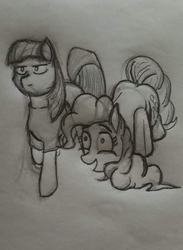Size: 720x986 | Tagged: safe, artist:shehaveboththings, maud pie, pinkie pie, pony, g4, ass up, monochrome, traditional art